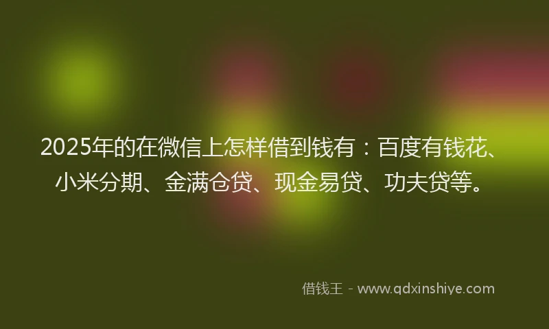 2025年的在微信上怎样借到钱有：百度有钱花、小米分期、金满仓贷、现金易贷、功夫贷等。