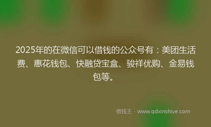 2025年的在微信可以借钱的公众号有：美团生活费、惠花钱包、快融贷宝盒、骏祥优购、金易钱包等。