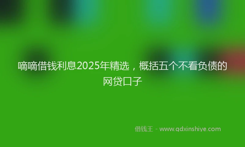 嘀嘀借钱利息2025年精选，概括五个不看负债的网贷口子