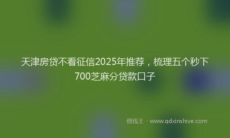 天津房贷不看征信2025年推荐，梳理五个秒下700芝麻分贷款口子