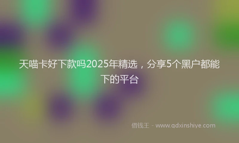 天喵卡好下款吗2025年精选，分享5个黑户都能下的平台