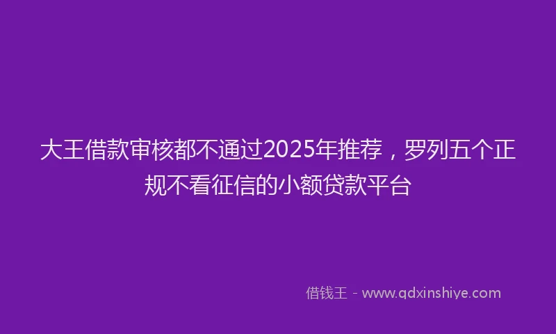 大王借款审核都不通过2025年推荐，罗列五个正规不看征信的小额贷款平台