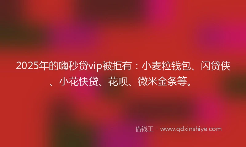 2025年的嗨秒贷vip被拒有：小麦粒钱包、闪贷侠、小花快贷、花呗、微米金条等。