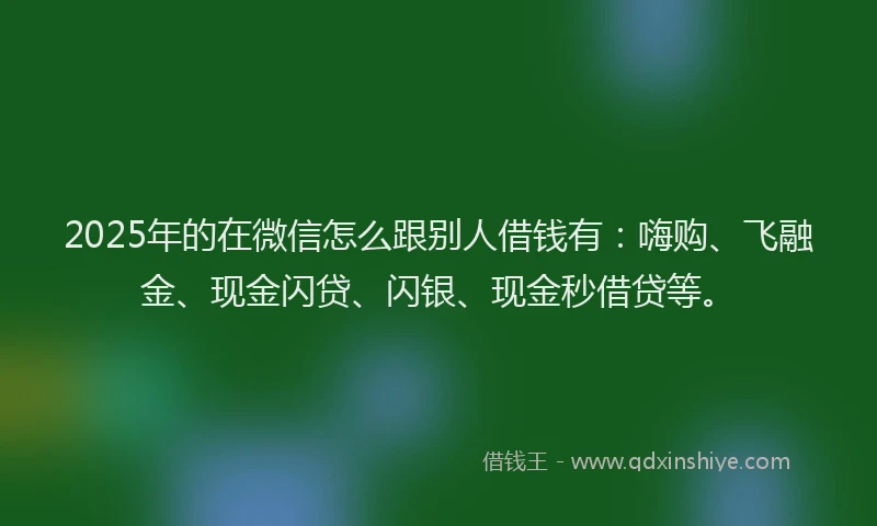 2025年的在微信怎么跟别人借钱有：嗨购、飞融金、现金闪贷、闪银、现金秒借贷等。