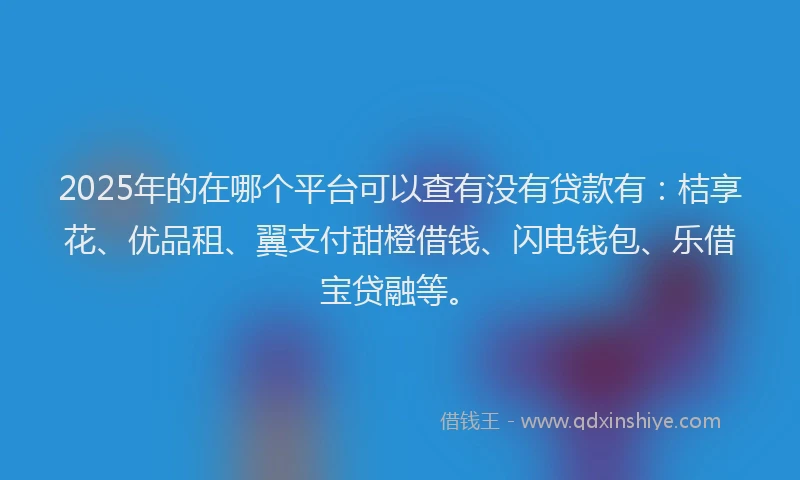 2025年的在哪个平台可以查有没有贷款有：桔享花、优品租、翼支付甜橙借钱、闪电钱包、乐借宝贷融等。