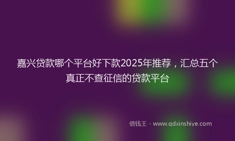 嘉兴贷款哪个平台好下款2025年推荐，汇总五个真正不查征信的贷款平台