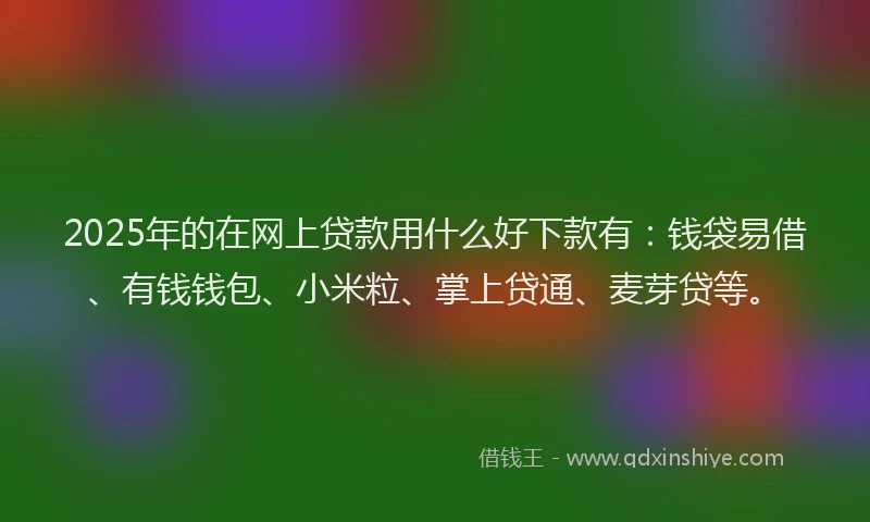 2025年的在网上贷款用什么好下款有：钱袋易借、有钱钱包、小米粒、掌上贷通、麦芽贷等。