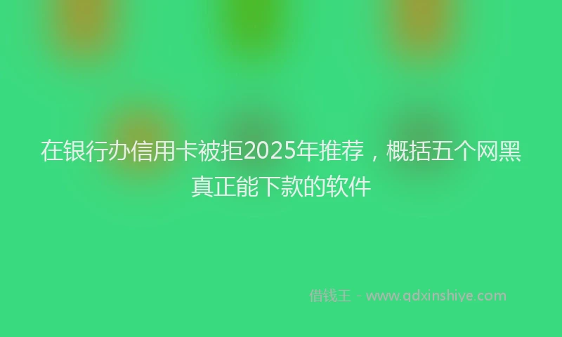 在银行办信用卡被拒2025年推荐，概括五个网黑真正能下款的软件