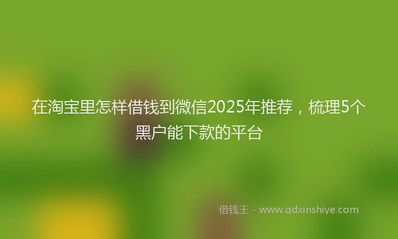 在淘宝里怎样借钱到微信2025年推荐，梳理5个黑户能下款的平台