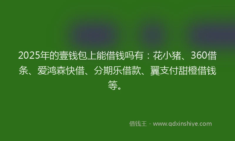 2025年的壹钱包上能借钱吗有：花小猪、360借条、爱鸿森快借、分期乐借款、翼支付甜橙借钱等。