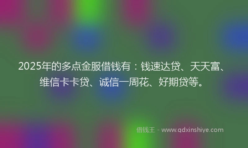 2025年的多点金服借钱有：钱速达贷、天天富、维信卡卡贷、诚信一周花、好期贷等。