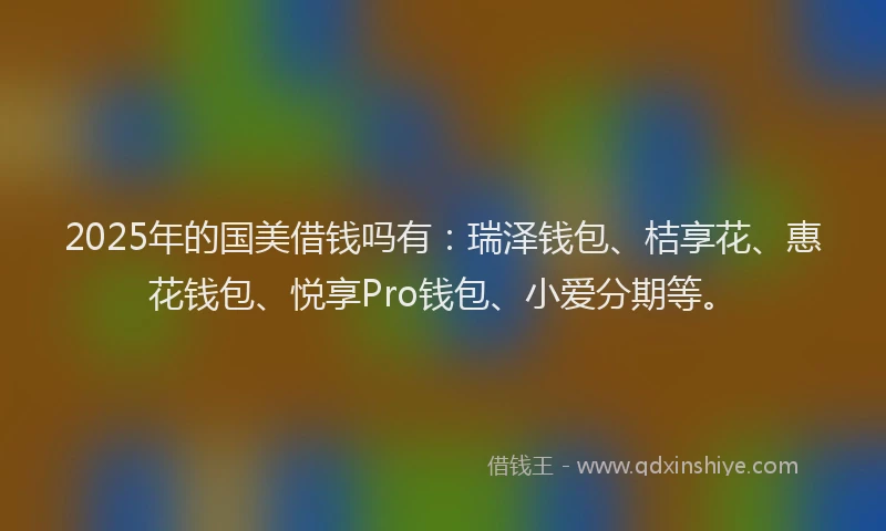 2025年的国美借钱吗有：瑞泽钱包、桔享花、惠花钱包、悦享Pro钱包、小爱分期等。