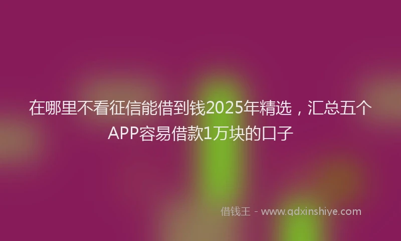在哪里不看征信能借到钱2025年精选，汇总五个APP容易借款1万块的口子