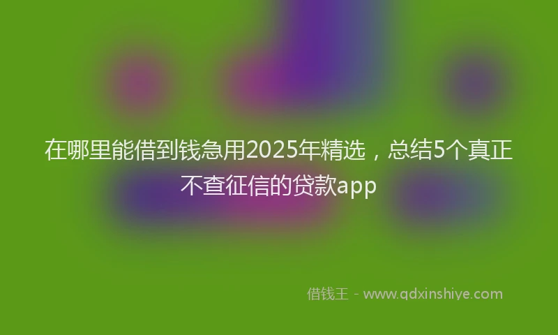 在哪里能借到钱急用2025年精选，总结5个真正不查征信的贷款app