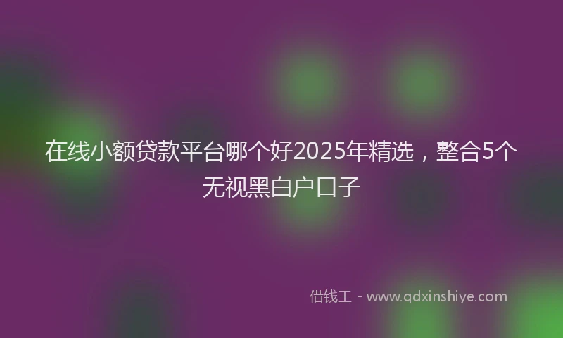 在线小额贷款平台哪个好2025年精选，整合5个无视黑白户口子