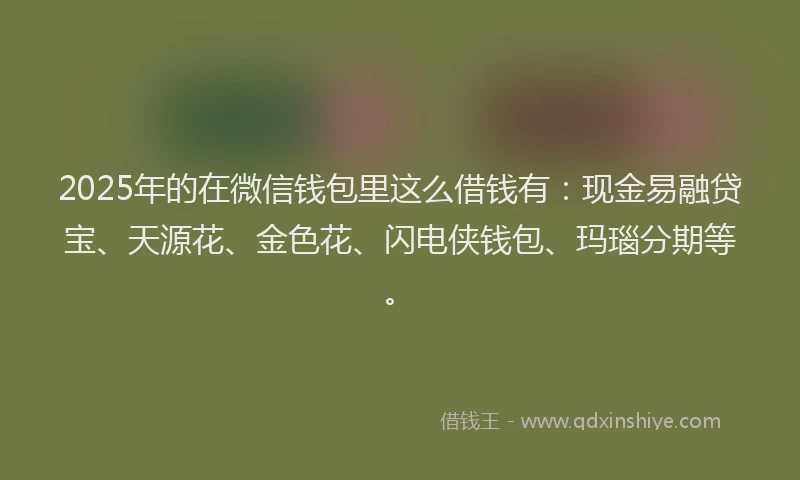 2025年的在微信钱包里这么借钱有：现金易融贷宝、天源花、金色花、闪电侠钱包、玛瑙分期等。