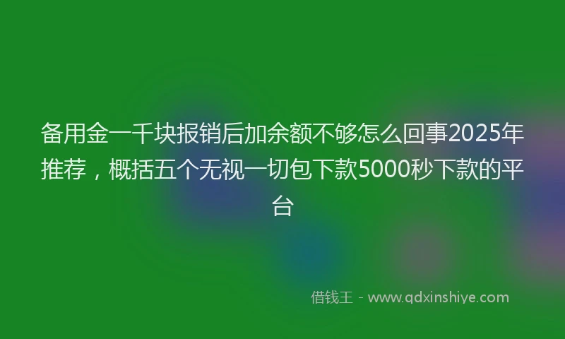 备用金一千块报销后加余额不够怎么回事2025年推荐，概括五个无视一切包下款5000秒下款的平台