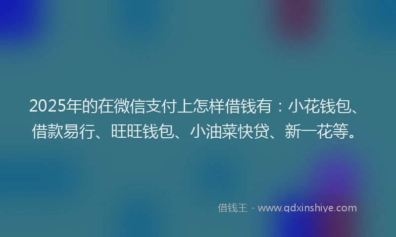 2025年的在微信支付上怎样借钱有：小花钱包、借款易行、旺旺钱包、小油菜快贷、新一花等。