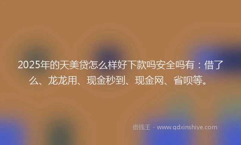 2025年的天美贷怎么样好下款吗安全吗有：借了么、龙龙用、现金秒到、现金网、省呗等。