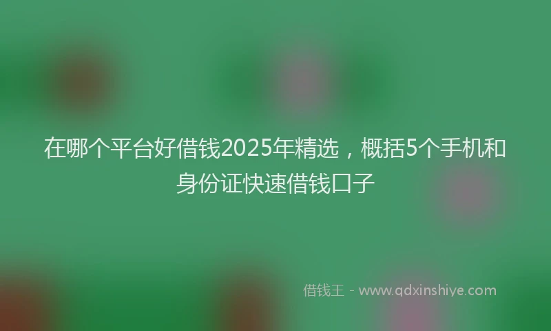 在哪个平台好借钱2025年精选，概括5个手机和身份证快速借钱口子