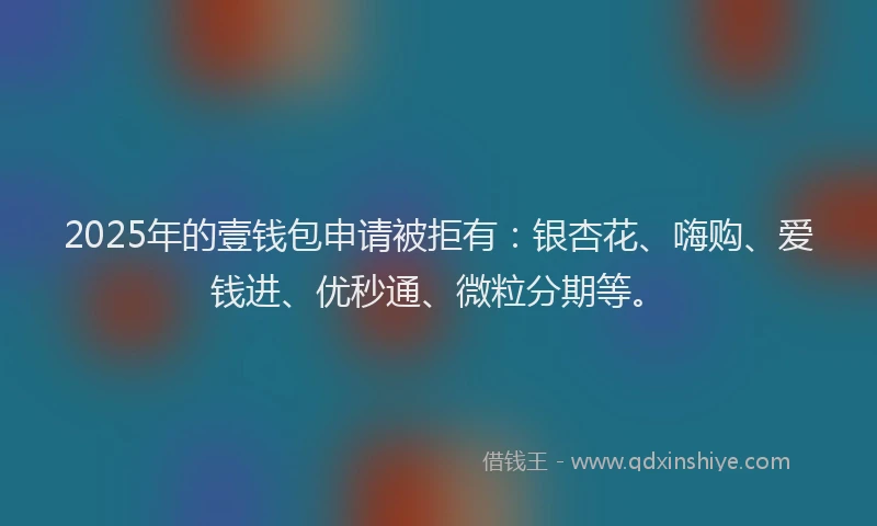 2025年的壹钱包申请被拒有：银杏花、嗨购、爱钱进、优秒通、微粒分期等。