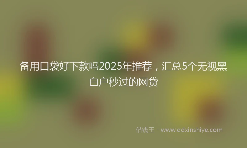 备用口袋好下款吗2025年推荐，汇总5个无视黑白户秒过的网贷