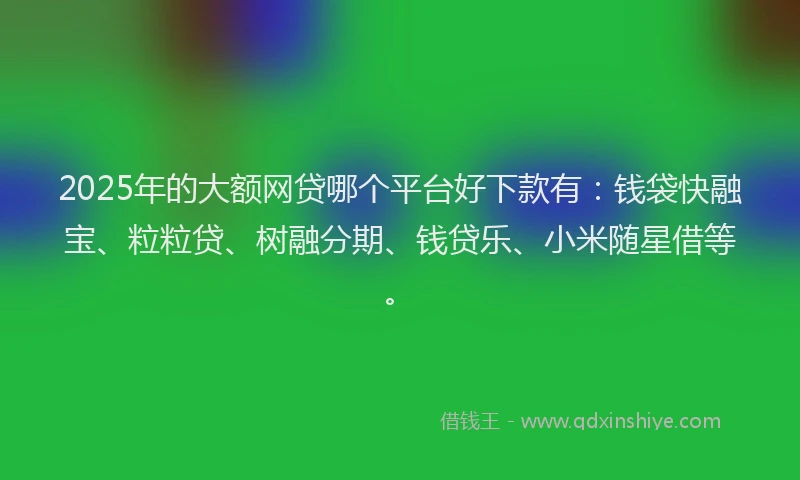 2025年的大额网贷哪个平台好下款有：钱袋快融宝、粒粒贷、树融分期、钱贷乐、小米随星借等。