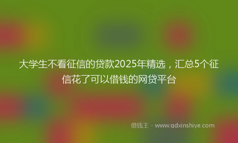 大学生不看征信的贷款2025年精选，汇总5个征信花了可以借钱的网贷平台