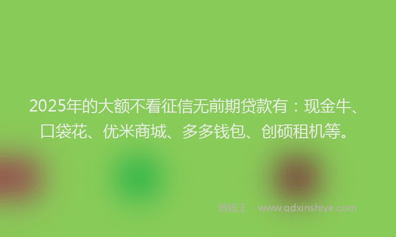 2025年的大额不看征信无前期贷款有：现金牛、口袋花、优米商城、多多钱包、创硕租机等。