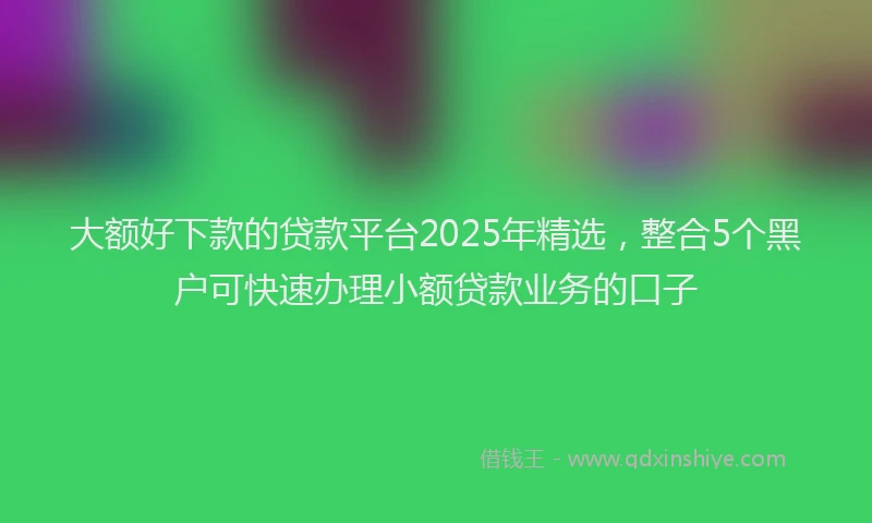 大额好下款的贷款平台2025年精选，整合5个黑户可快速办理小额贷款业务的口子