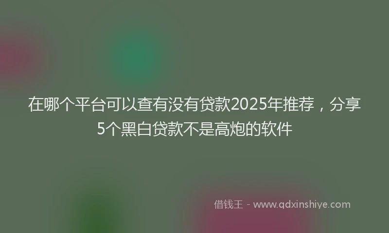 在哪个平台可以查有没有贷款2025年推荐，分享5个黑白贷款不是高炮的软件