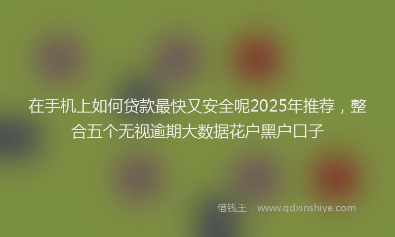 在手机上如何贷款最快又安全呢2025年推荐,整合五个无视逾期大数据花户黑户口子