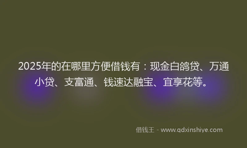 2025年的在哪里方便借钱有：现金白鸽贷、万通小贷、支富通、钱速达融宝、宜享花等。