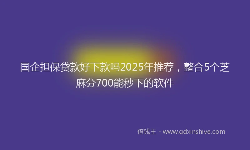 国企担保贷款好下款吗2025年推荐，整合5个芝麻分700能秒下的软件