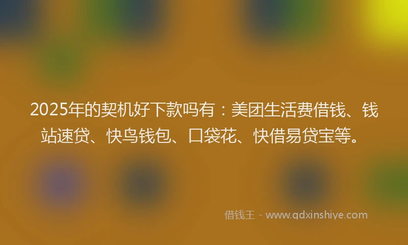 2025年的契机好下款吗有：美团生活费借钱、钱站速贷、快鸟钱包、口袋花、快借易贷宝等。