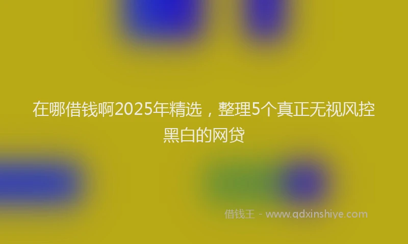 在哪借钱啊2025年精选，整理5个真正无视风控黑白的网贷
