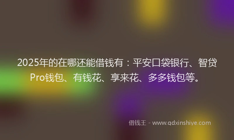 2025年的在哪还能借钱有：平安口袋银行、智贷Pro钱包、有钱花、享来花、多多钱包等。