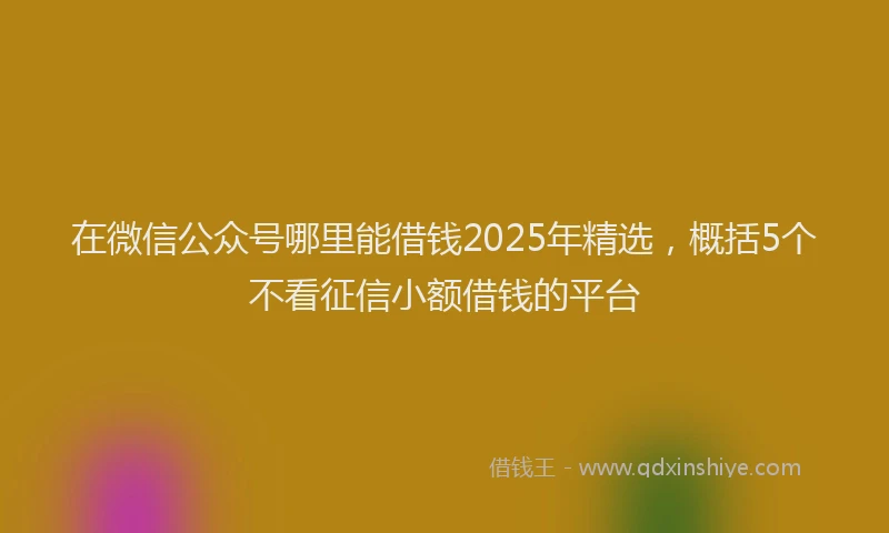 在微信公众号哪里能借钱2025年精选，概括5个不看征信小额借钱的平台