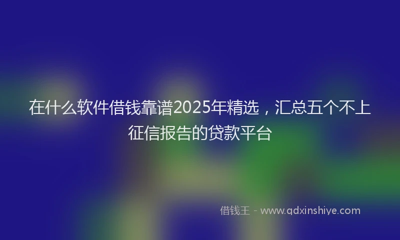 在什么软件借钱靠谱2025年精选，汇总五个不上征信报告的贷款平台