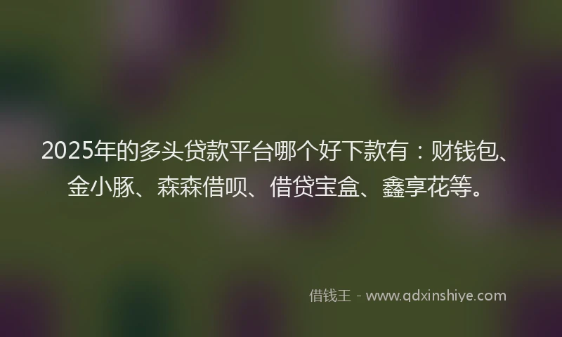 2025年的多头贷款平台哪个好下款有：财钱包、金小豚、森森借呗、借贷宝盒、鑫享花等。