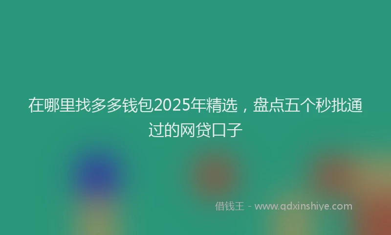 在哪里找多多钱包2025年精选，盘点五个秒批通过的网贷口子
