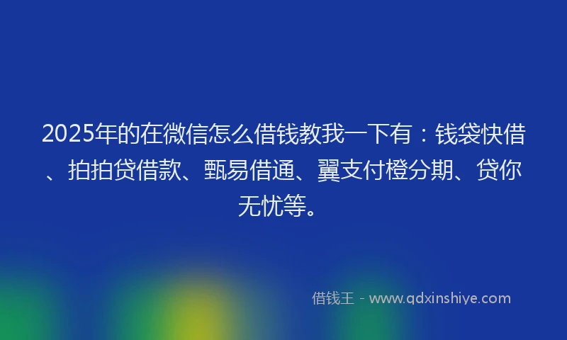 2025年的在微信怎么借钱教我一下有：钱袋快借、拍拍贷借款、甄易借通、翼支付橙分期、贷你无忧等。