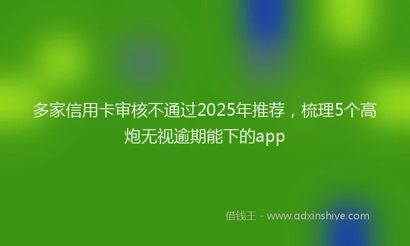 多家信用卡审核不通过2025年推荐，梳理5个高炮无视逾期能下的app