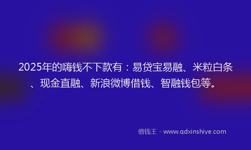 2025年的嗨钱不下款有：易贷宝易融、米粒白条、现金直融、新浪微博借钱、智融钱包等。
