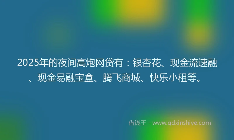 2025年的夜间高炮网贷有：银杏花、现金流速融、现金易融宝盒、腾飞商城、快乐小租等。