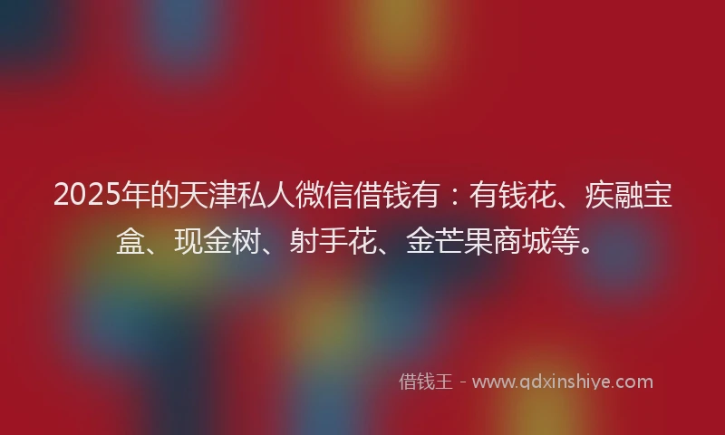 2025年的天津私人微信借钱有：有钱花、疾融宝盒、现金树、射手花、金芒果商城等。