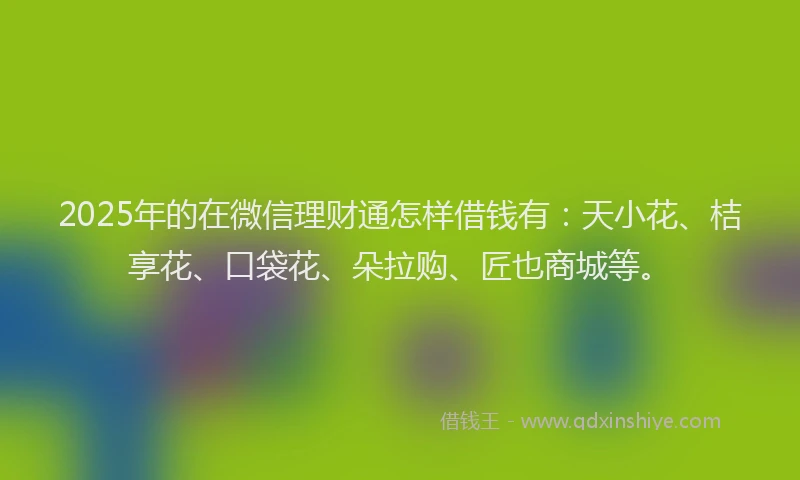 2025年的在微信理财通怎样借钱有：天小花、桔享花、口袋花、朵拉购、匠也商城等。