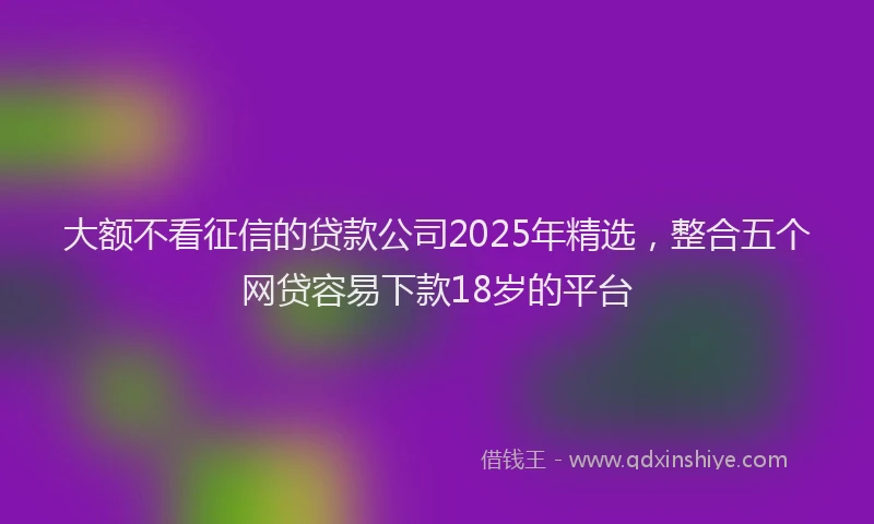 大额不看征信的贷款公司2025年精选，整合五个网贷容易下款18岁的平台