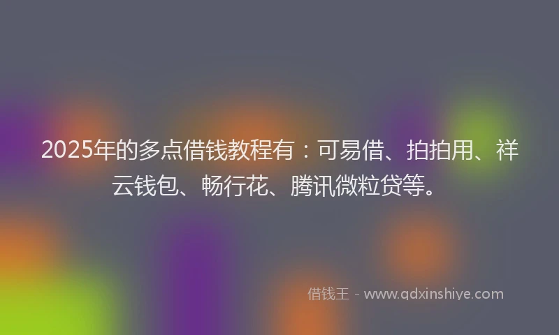 2025年的多点借钱教程有：可易借、拍拍用、祥云钱包、畅行花、腾讯微粒贷等。
