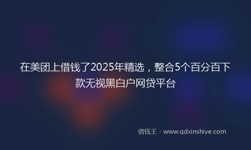 在美团上借钱了2025年精选，整合5个百分百下款无视黑白户网贷平台